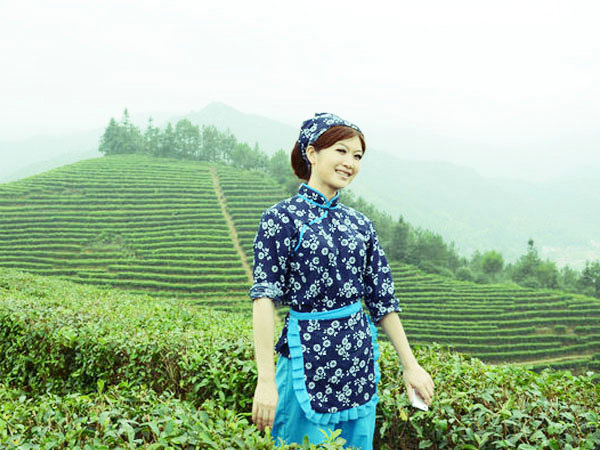 生態(tài)茶園展示